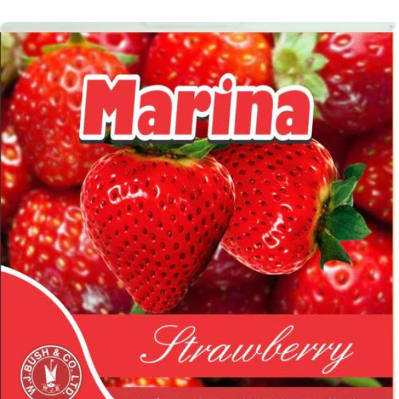 Marina Block Air Freshener 60g Strawberry